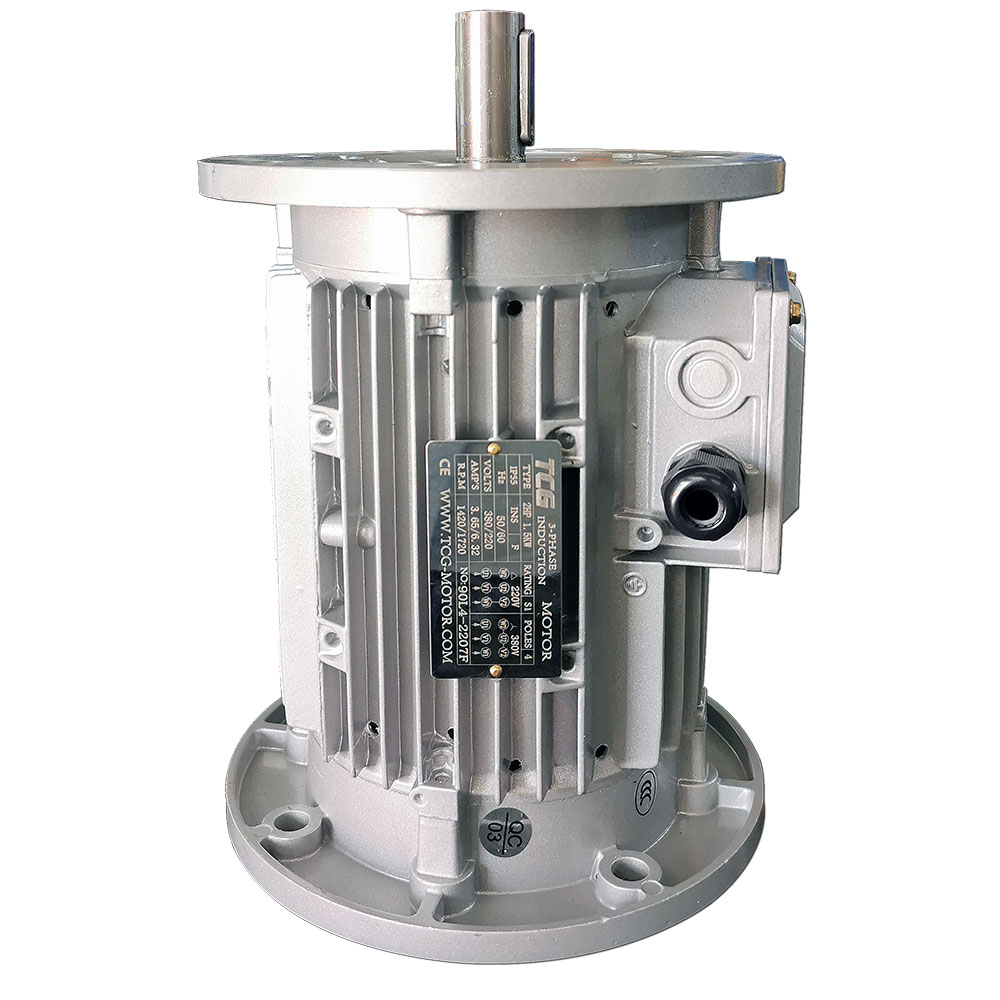 双法兰非标电机